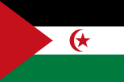 TELEVISION Western Sahara