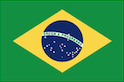TELEVISION Бразилия