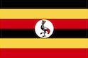 TELEVISION Ouganda