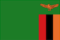 TELEVISION Zambie